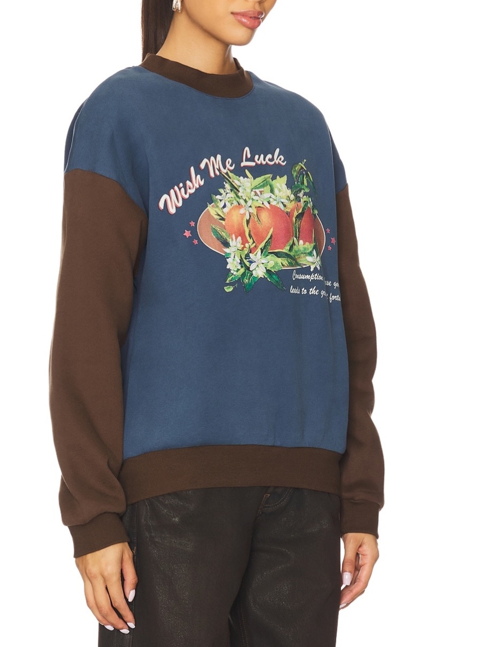 REVOLVE Blue and Brown 'Wish Me Luck' Graphic Crewneck